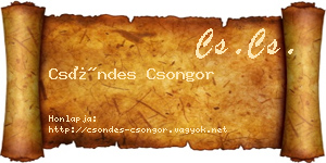 Csöndes Csongor névjegykártya
